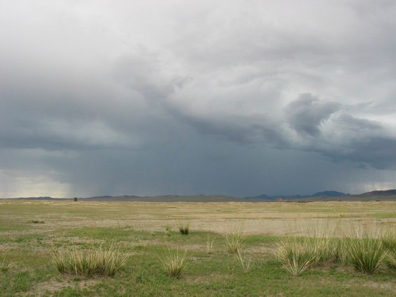 /img/2004/08/mongolie_1_0001.jpg
