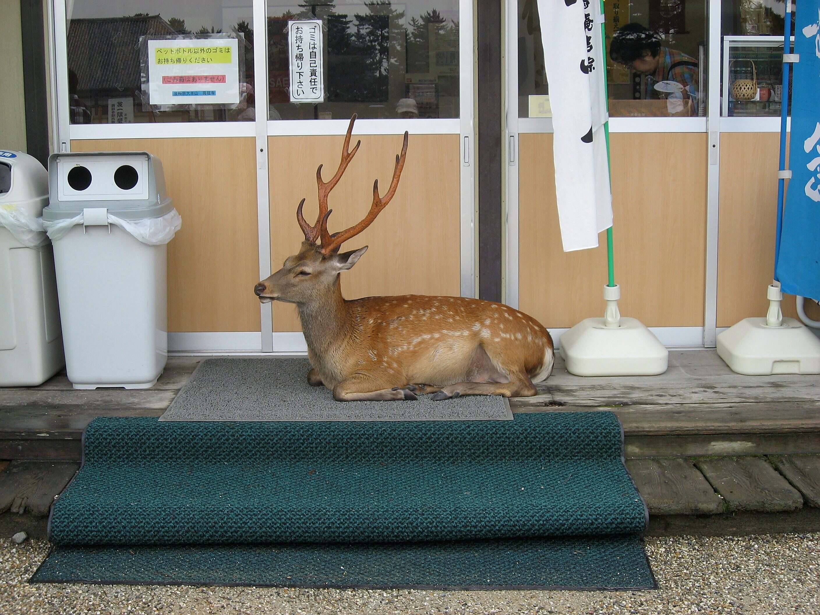 Nara