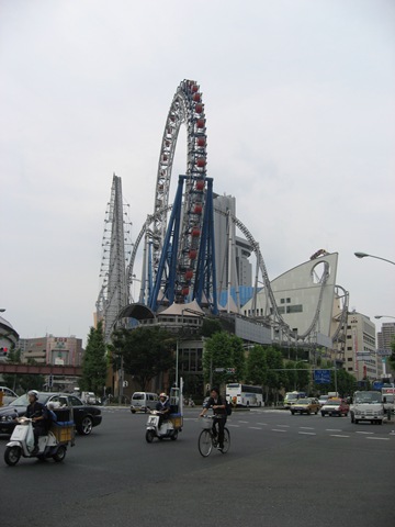 IMG_3538 copyright : c