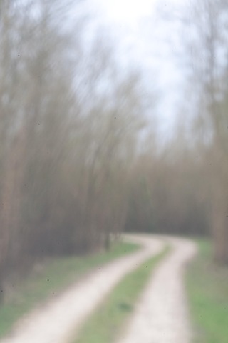 Chemin sur l'île de Charrouin