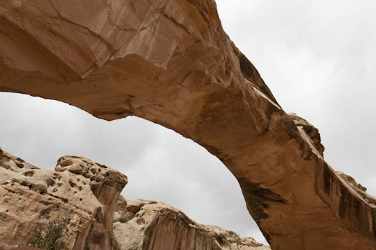 /img/2012/06/mg_2972.jpg