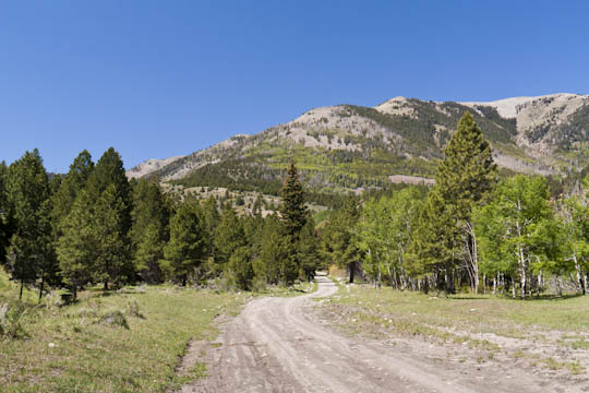 /img/2012/06/mg_3016.jpg