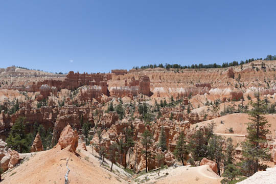 /img/2012/06/mg_3506.jpg