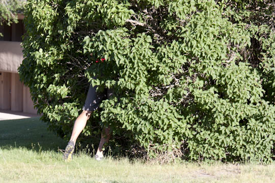 /img/2012/06/mg_3662.jpg