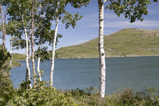/img/2012/06/mg_3693.jpg