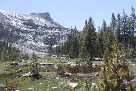 /img/2012/06/mg_3958.jpg