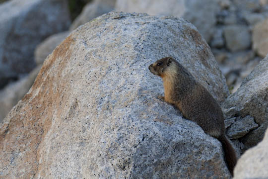 /img/2012/06/mg_3964.jpg