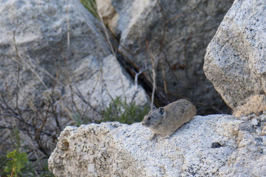 /img/2012/06/mg_3968.jpg