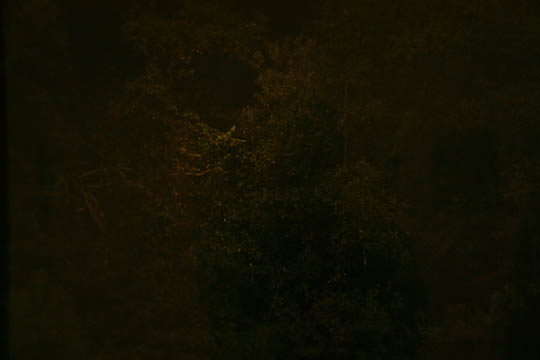 /img/2012/06/mg_4229.jpg