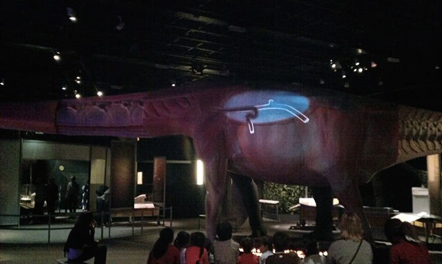2013-06-17 11.20.02 Et donc, je suis allé à l’exposition sur les dinosaures au Muséum. Sans même attendre la fin de l’averse, et que voulez-vous j’aime bien ces météos, ces instants où on a l’impression que la ville se rappelle qu’elle ne peut pas vivre totalement décorrélée de la Nature et que la pluie et les orages la détrempent comme n’importe quel autre environnement. J’adore l’odeur de terre mouillée qui se lève des maigres jardins du quartier, les arbres coulant sur la chaussée et les caniveaux qui semblent se rappeler que leur granite provient aussi de torrents de montagnes.