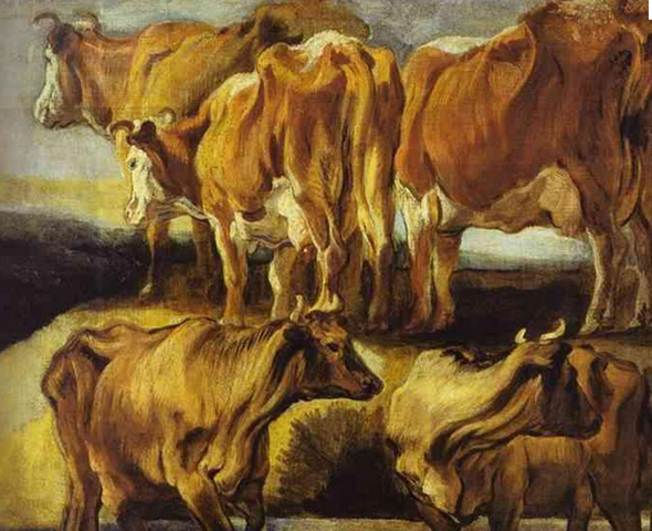 Etude de bovidés, Lille, MBA.