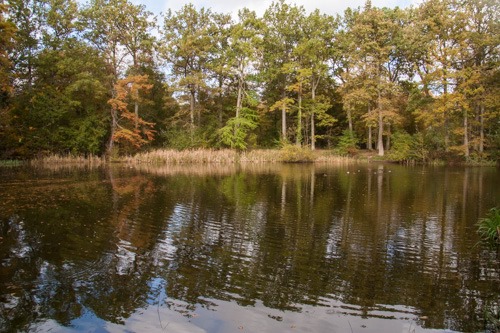 mare aux évées