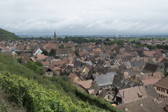 DSCF6658