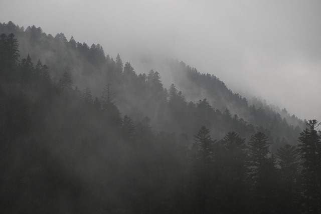 DSCF6734