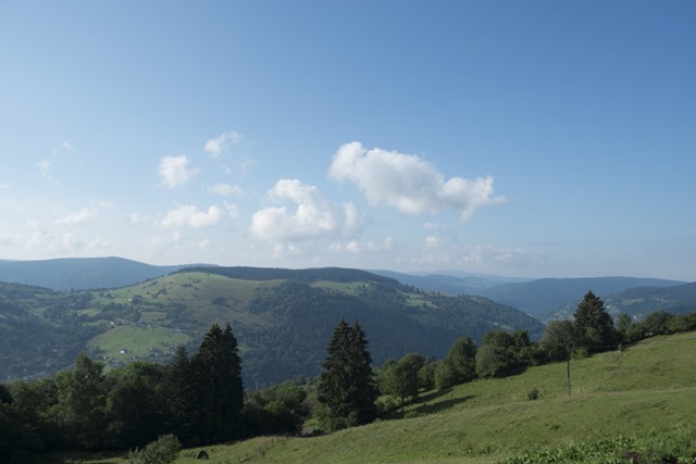 DSCF6735