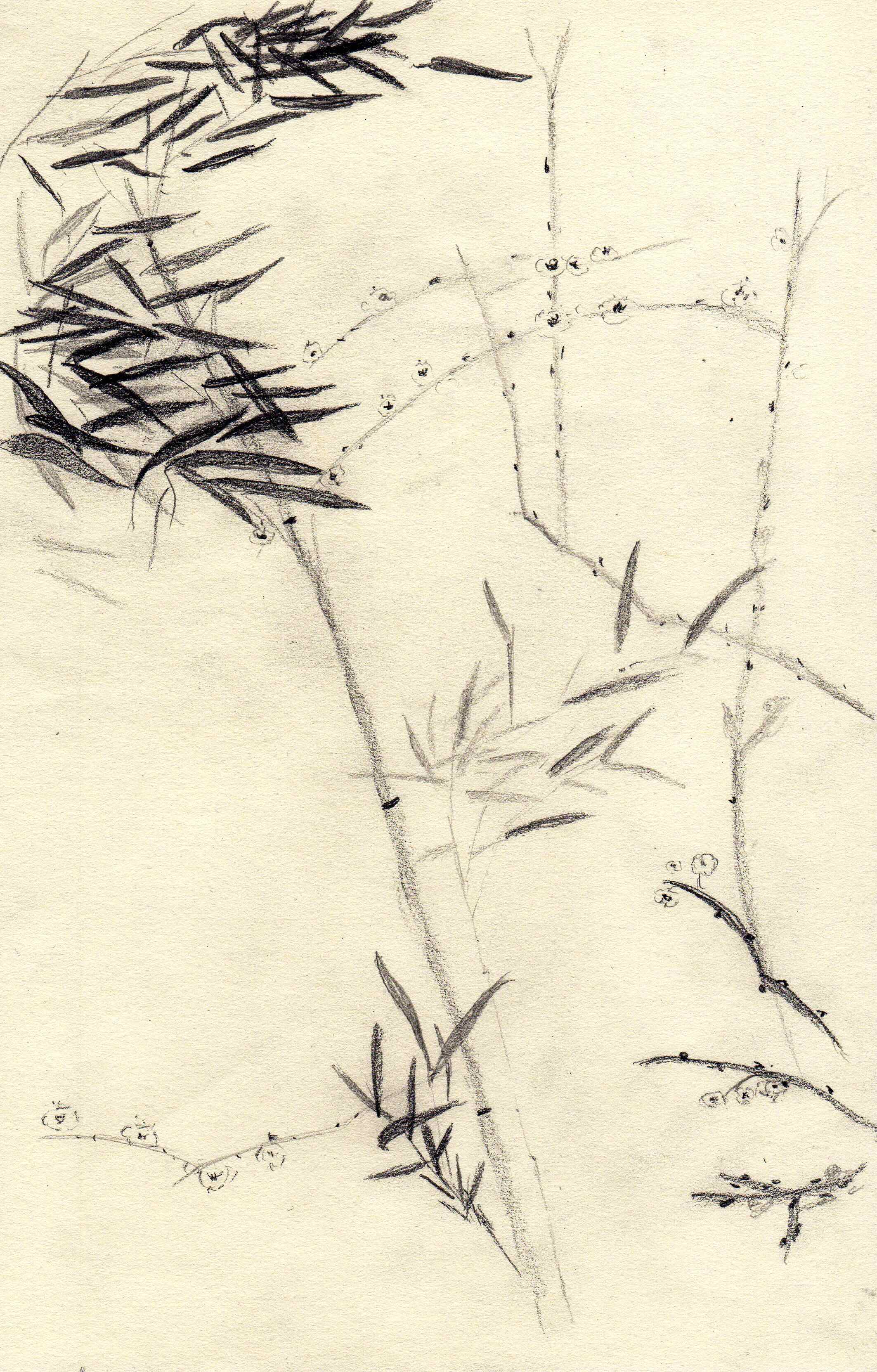 /img/2014/08/img007.jpg