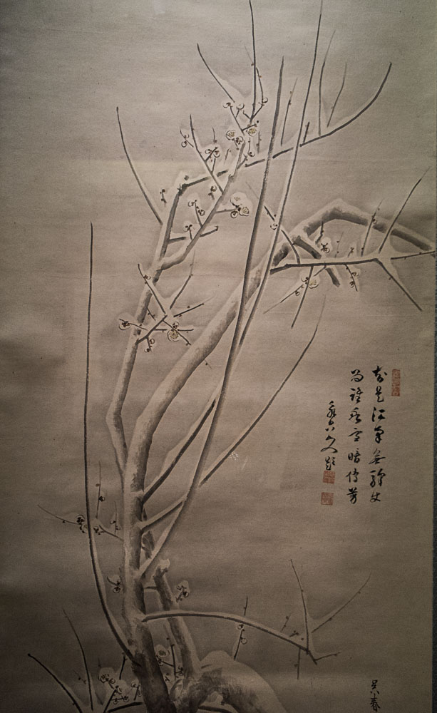 DSCF7049