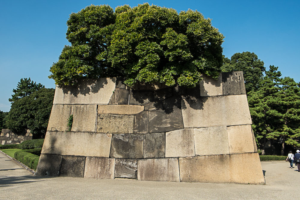 DSCF7197