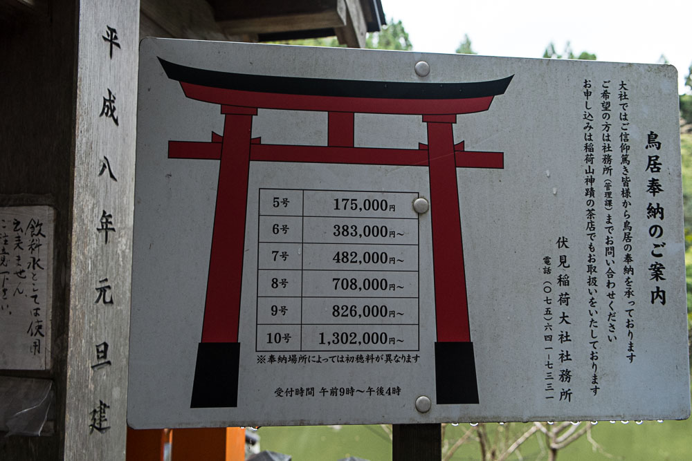 DSCF7517