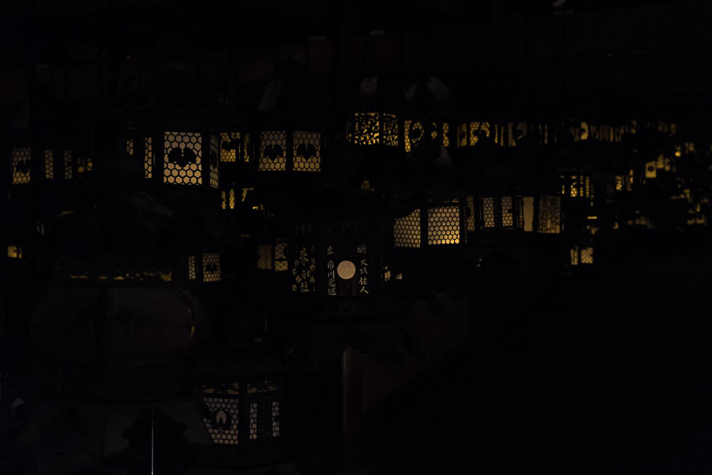 DSCF8144