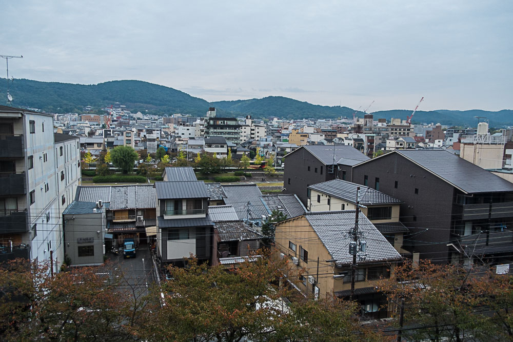 DSCF8221