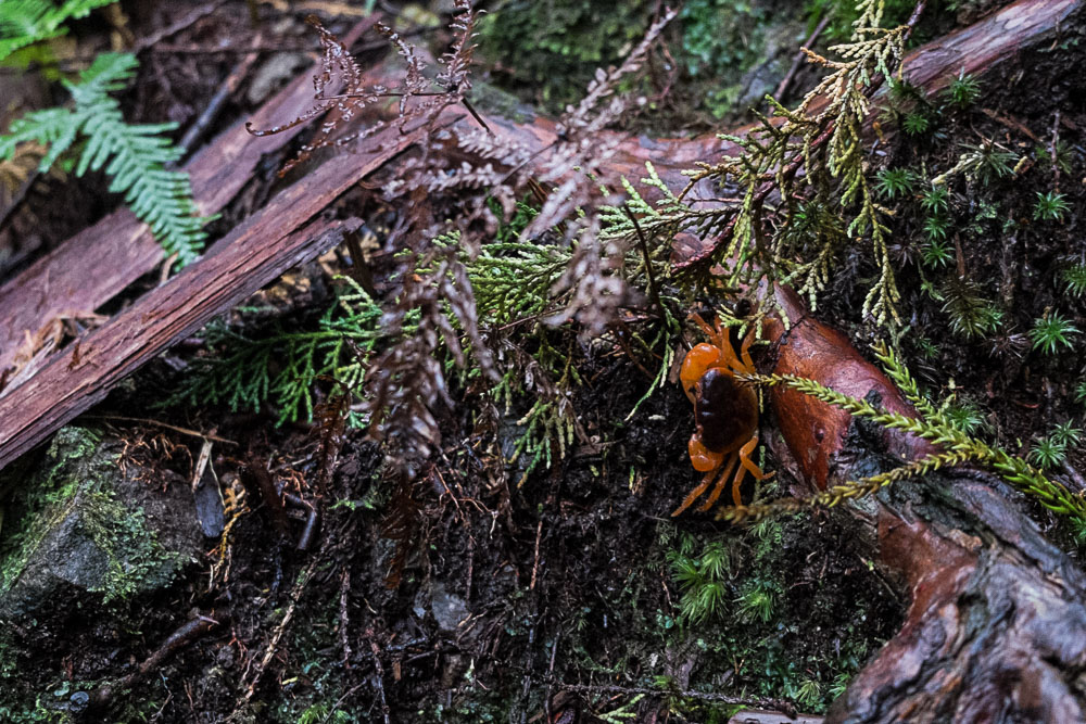 DSCF8291