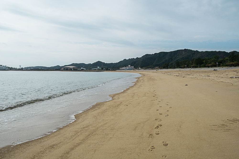 DSCF8334