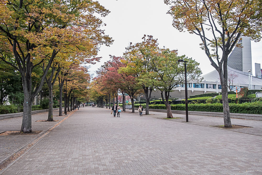 DSCF8780
