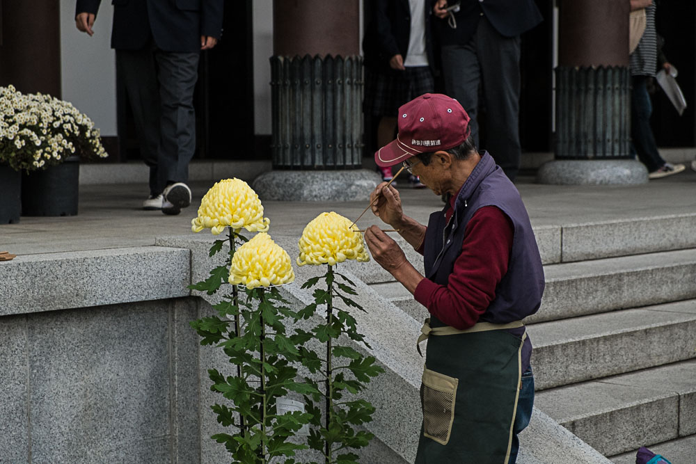 DSCF8937