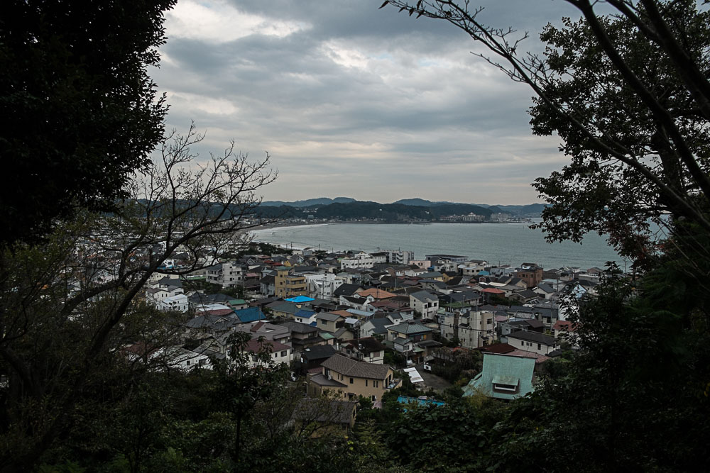 DSCF8951