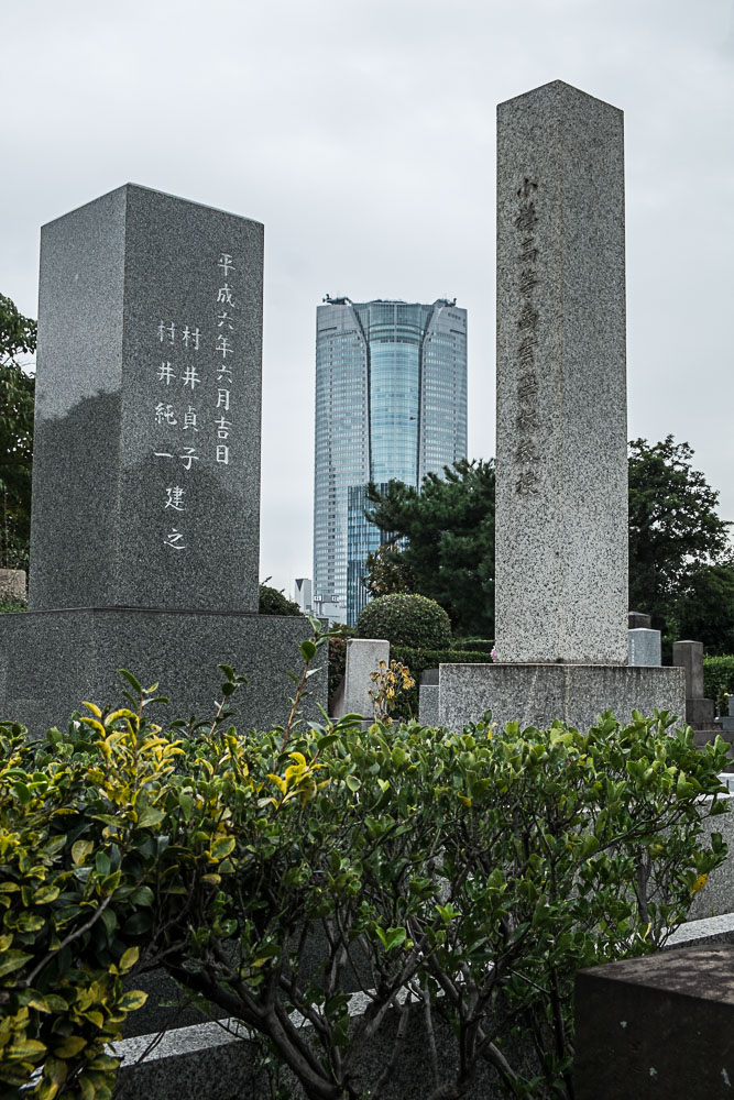 DSCF8990