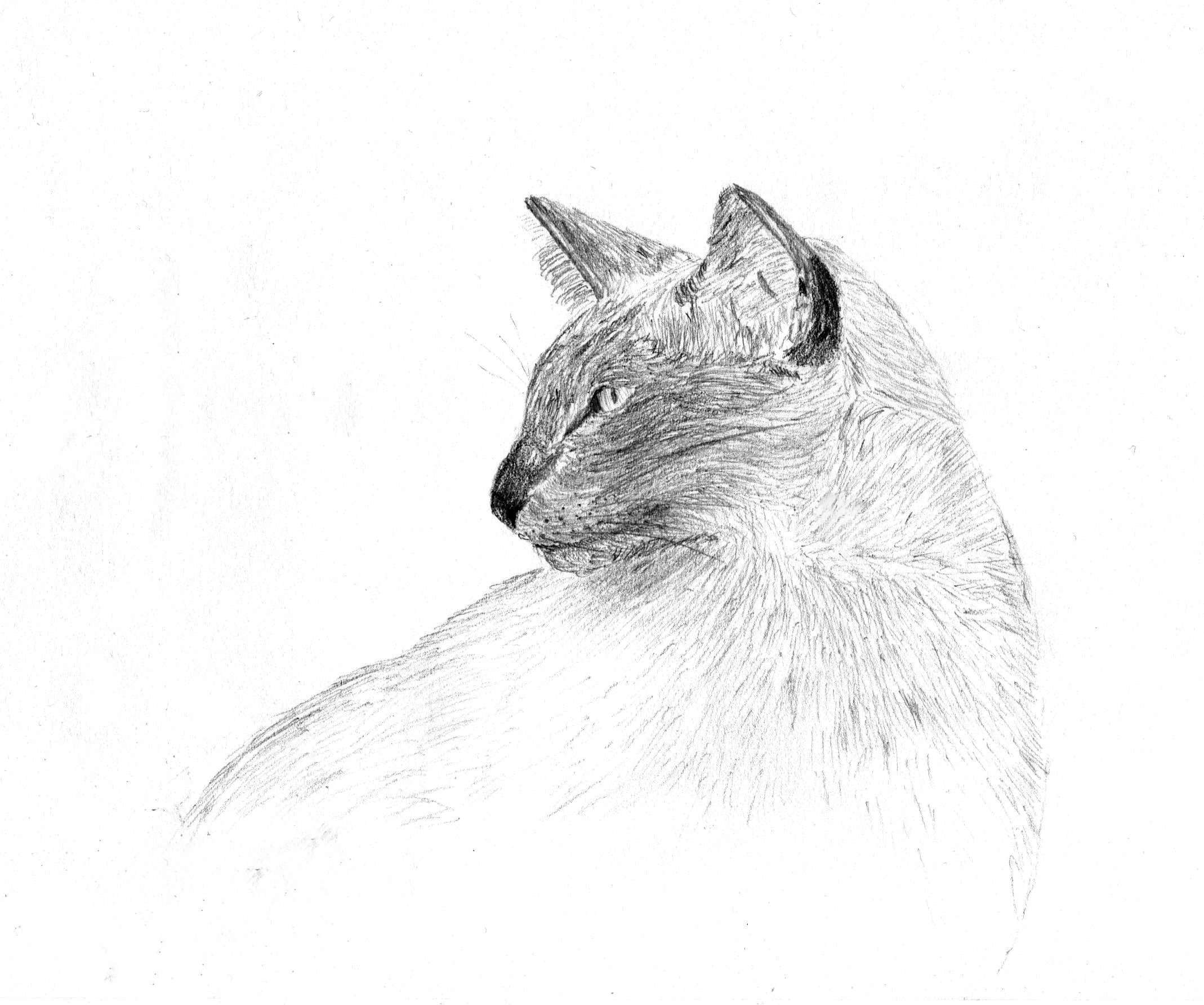 blog-fangio014