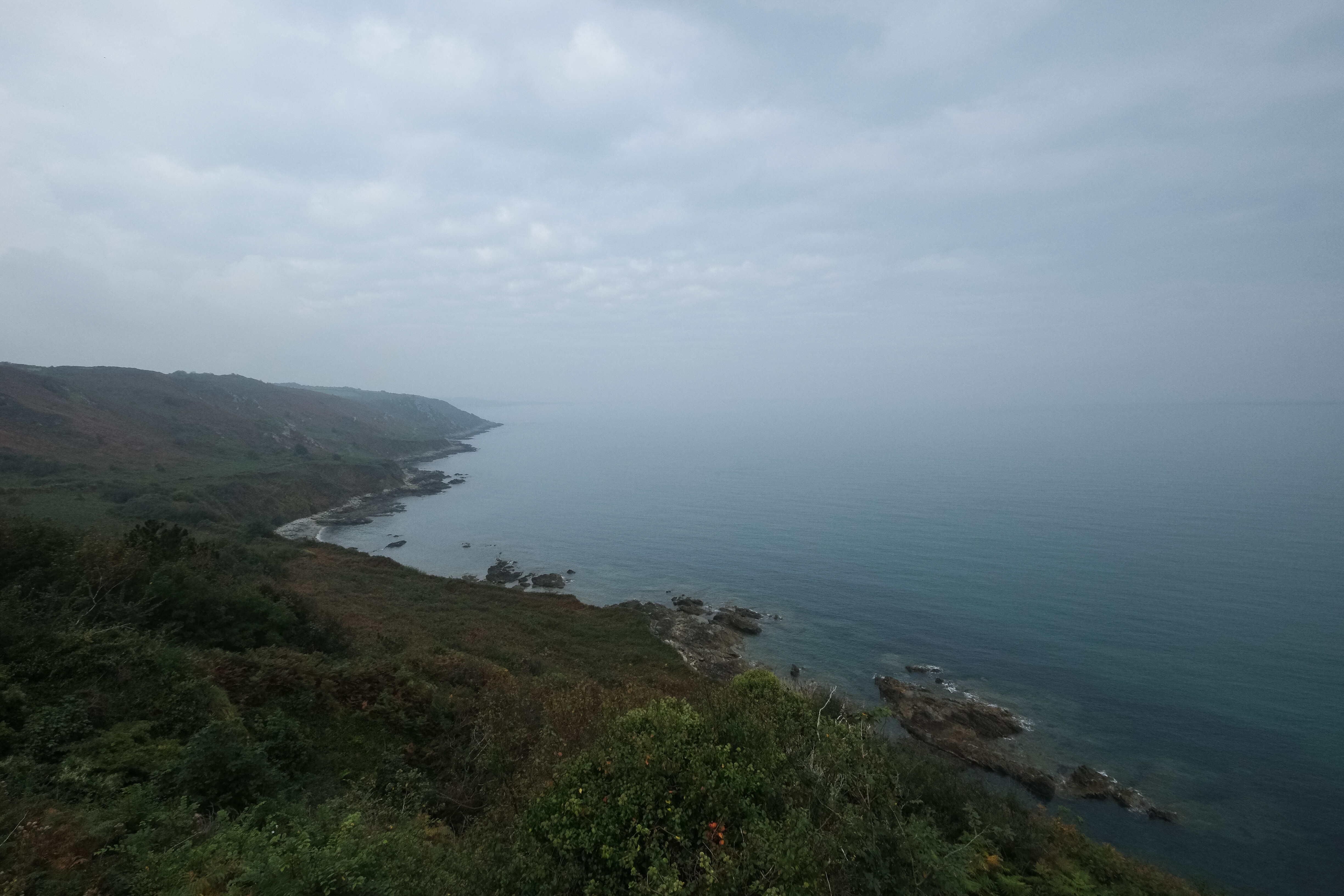 Vue du littoral, peinte par Jean-François Millet, natif du pays