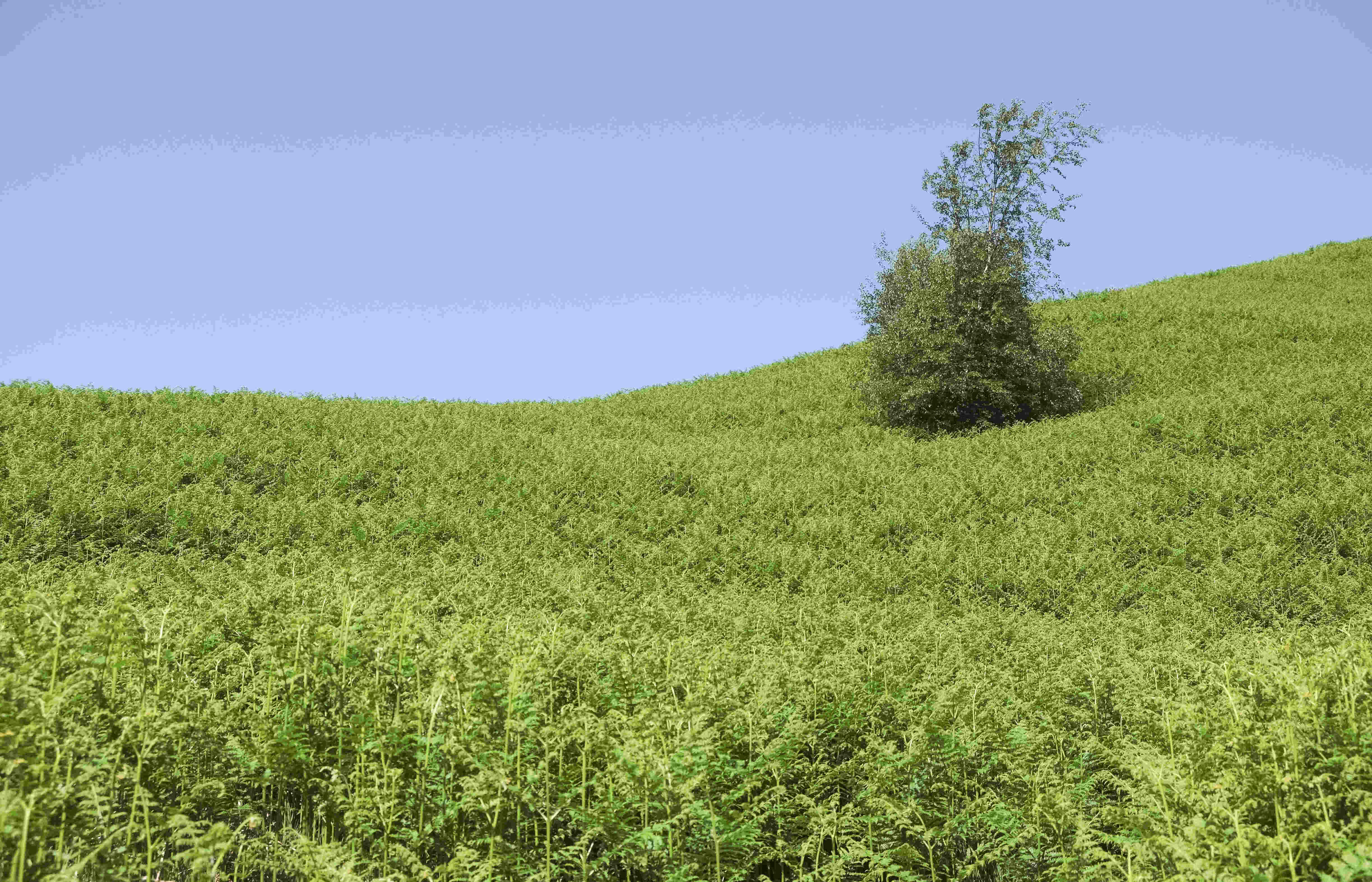 /img/2018/06/c3a9cosse-001.jpg