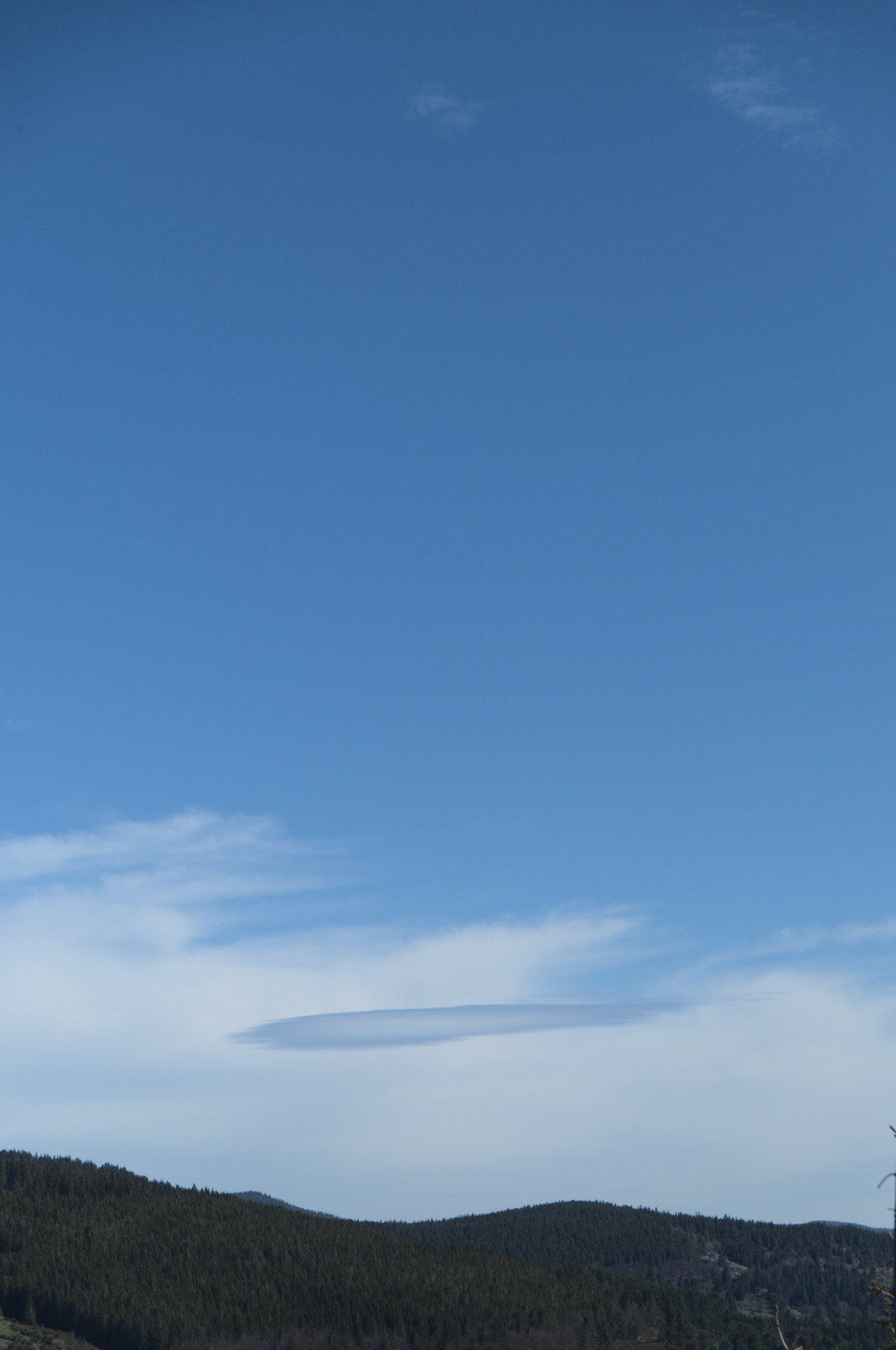 2021:05:08 10:58:46 (XF18-55mm F2.8-4 R LM OIS)