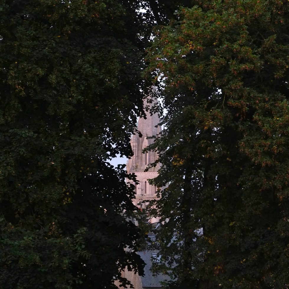 /img/2021/11/dscf8898.jpg