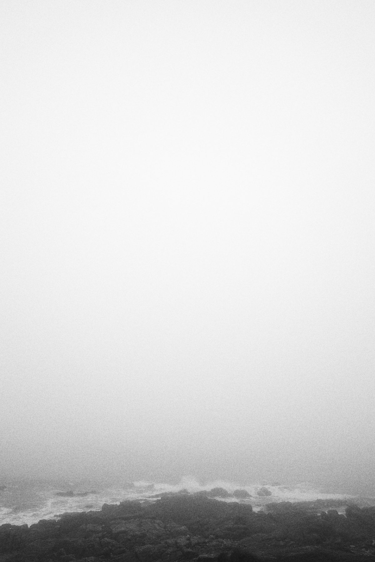 /img/2022/01/gr010205.jpg