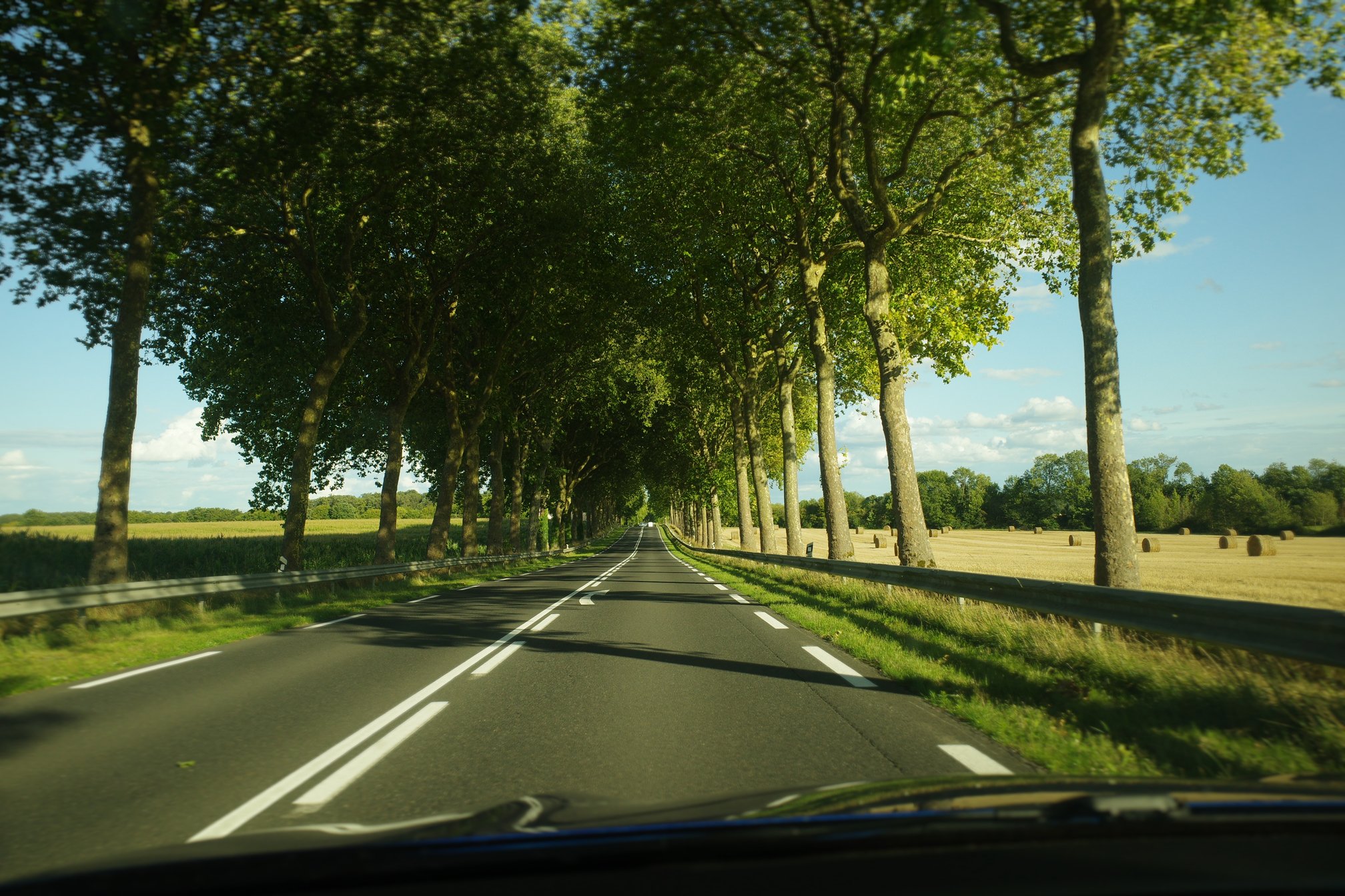 /img/2023/08/GR012125.jpg