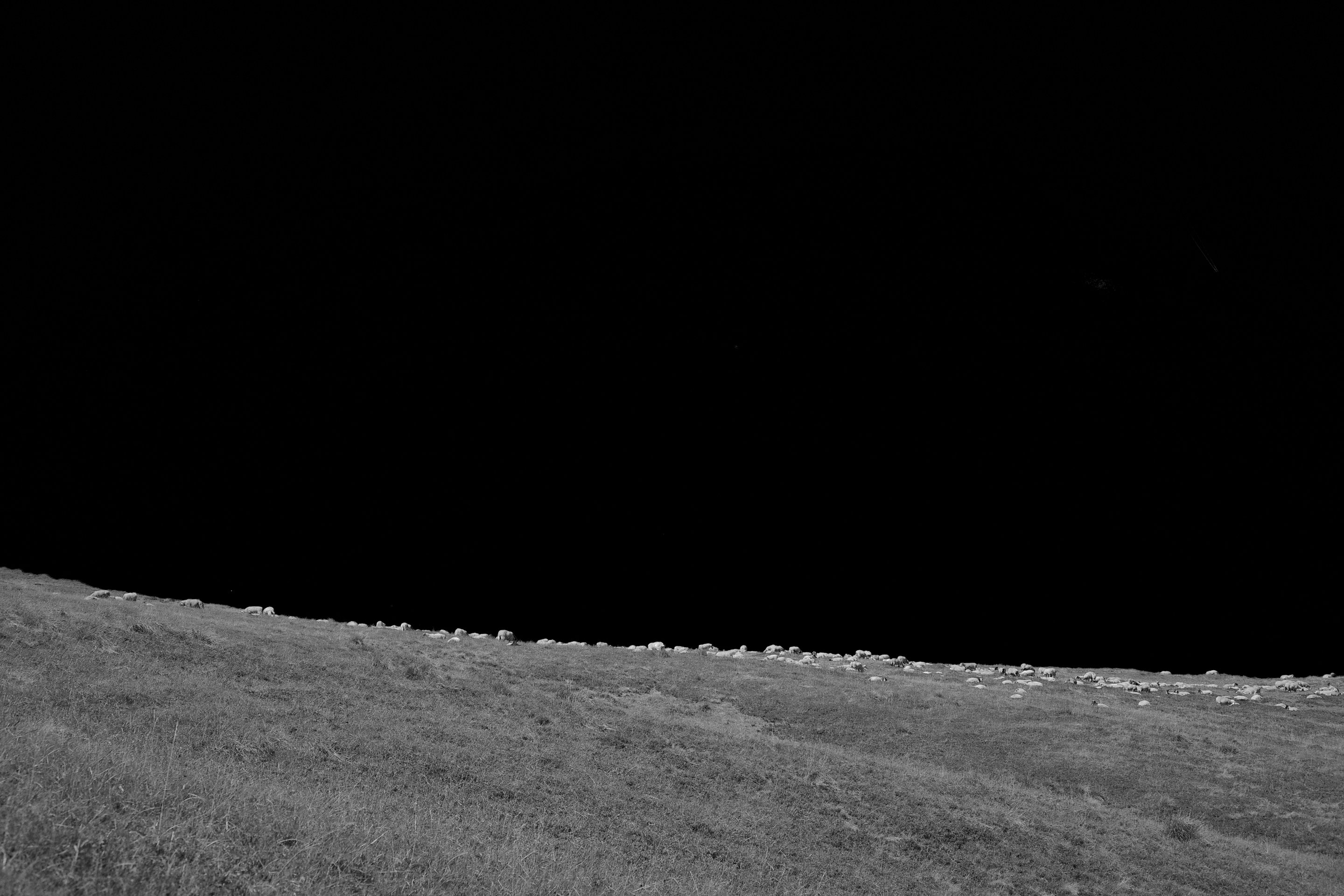 /img/2023/08/R0000316.jpg
