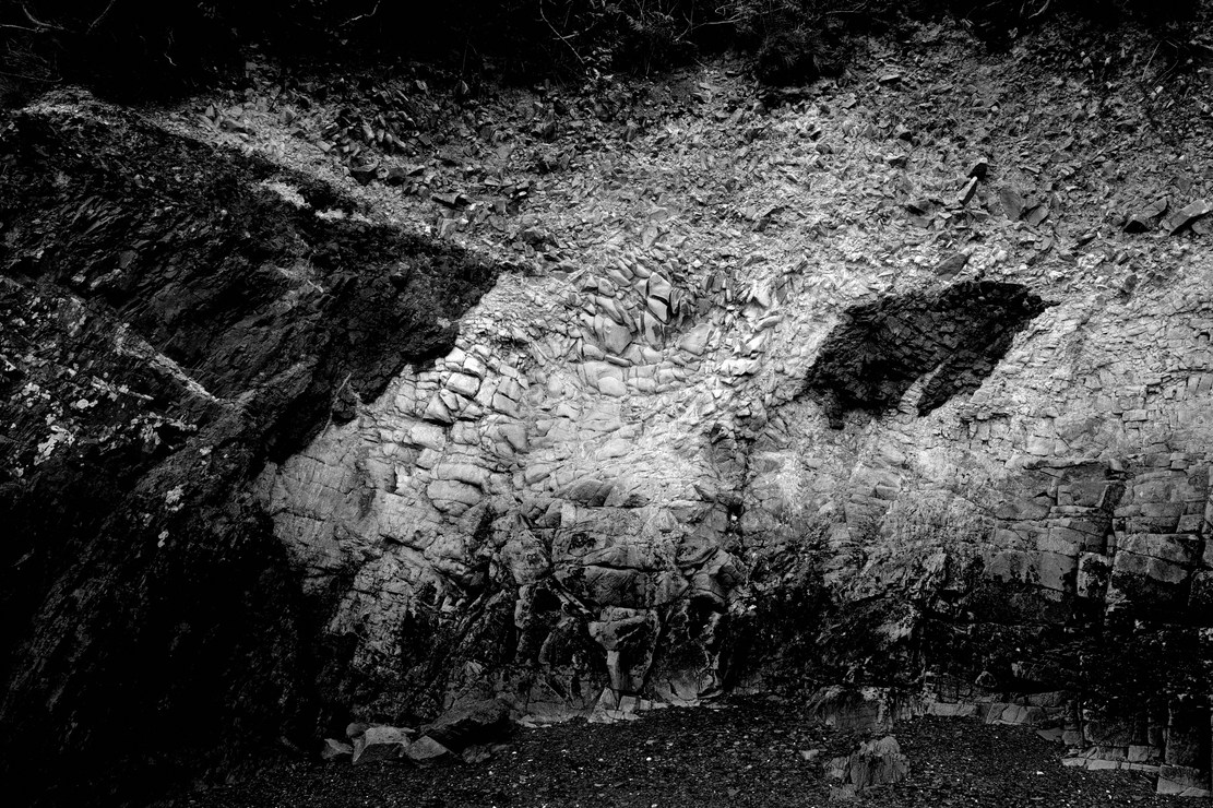 Ours et pingouin fossilisés (interprétation personnelle)
