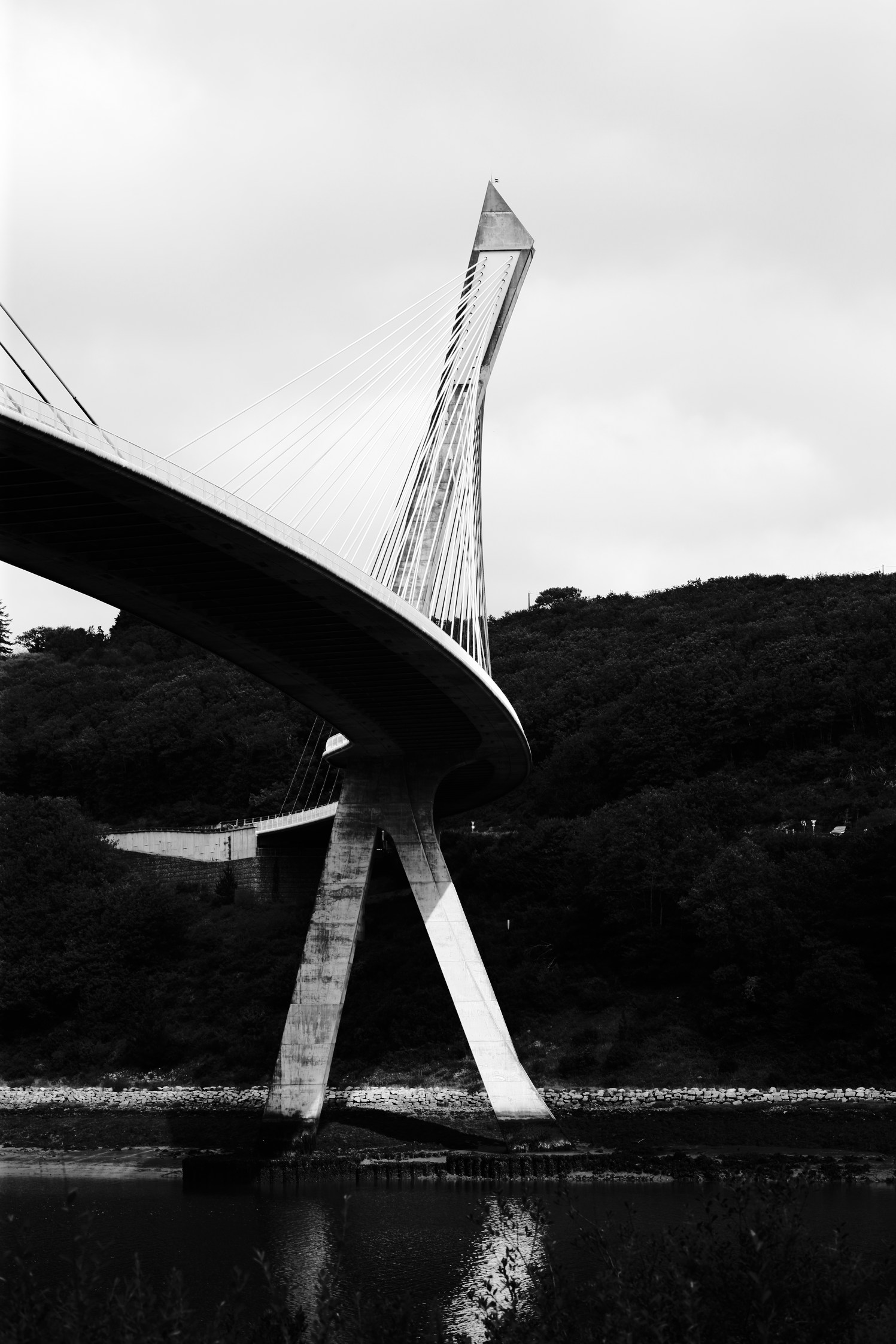 /img/2023/10/06-1.jpg