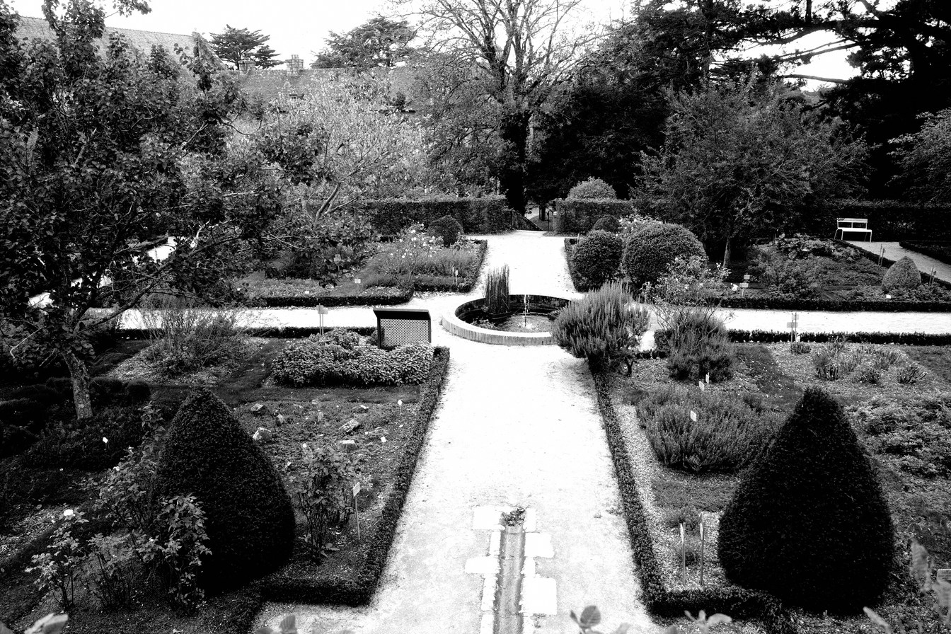 Jardin des simples, terrasse des plantes bretonnes et d'Europe de l'Ouest