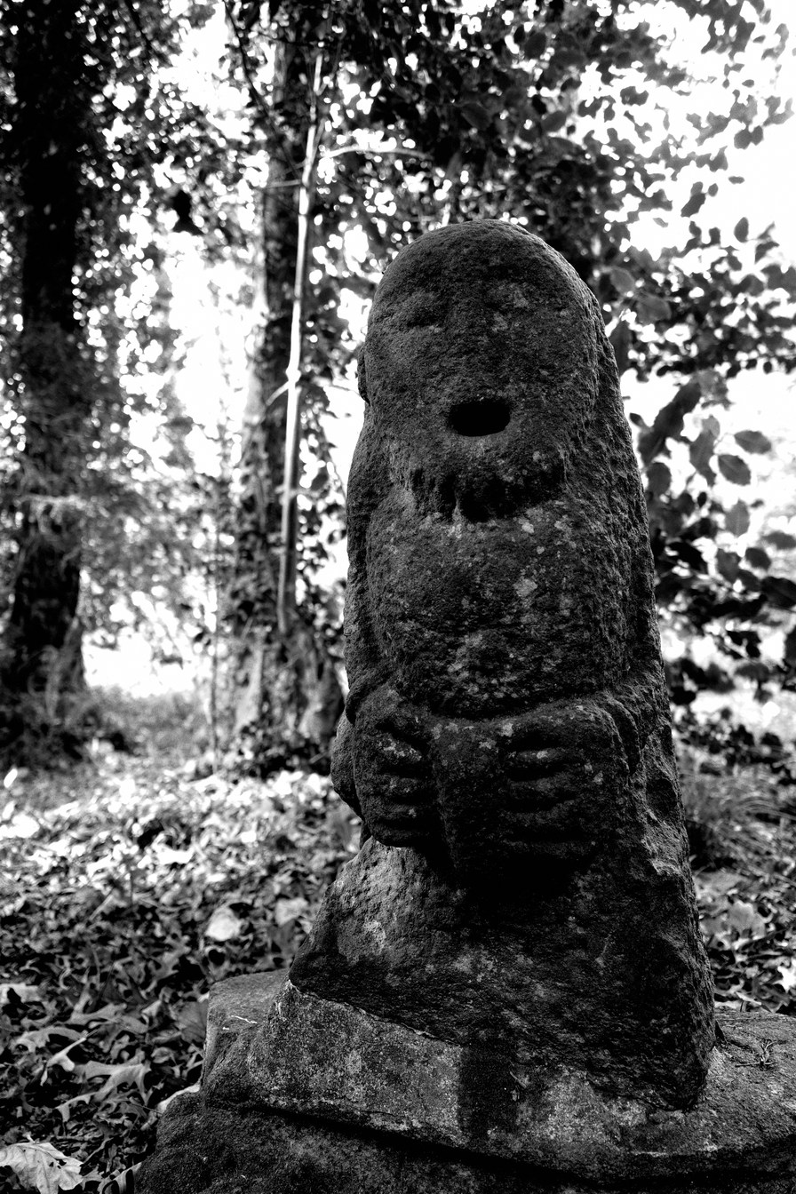 Lutin protecteur des forêts (interprétation personnelle)