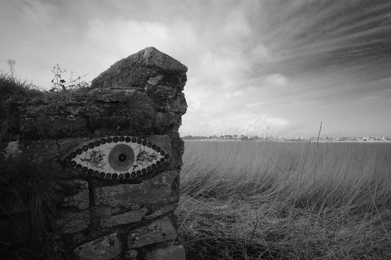 un des yeux de Pierre Chanteau