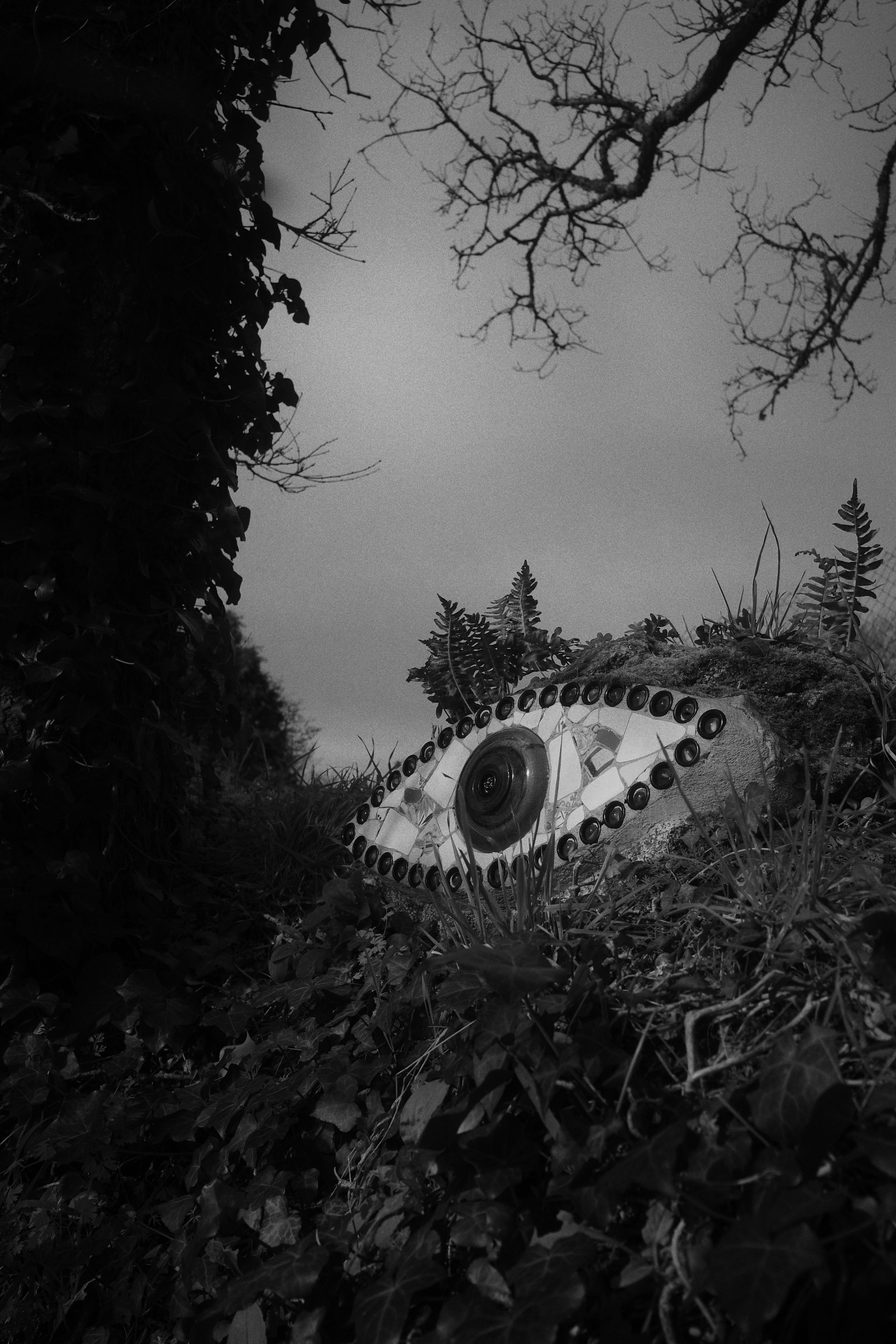 Un des yeux de Pierre Chanteau, sur les berges de l'aber