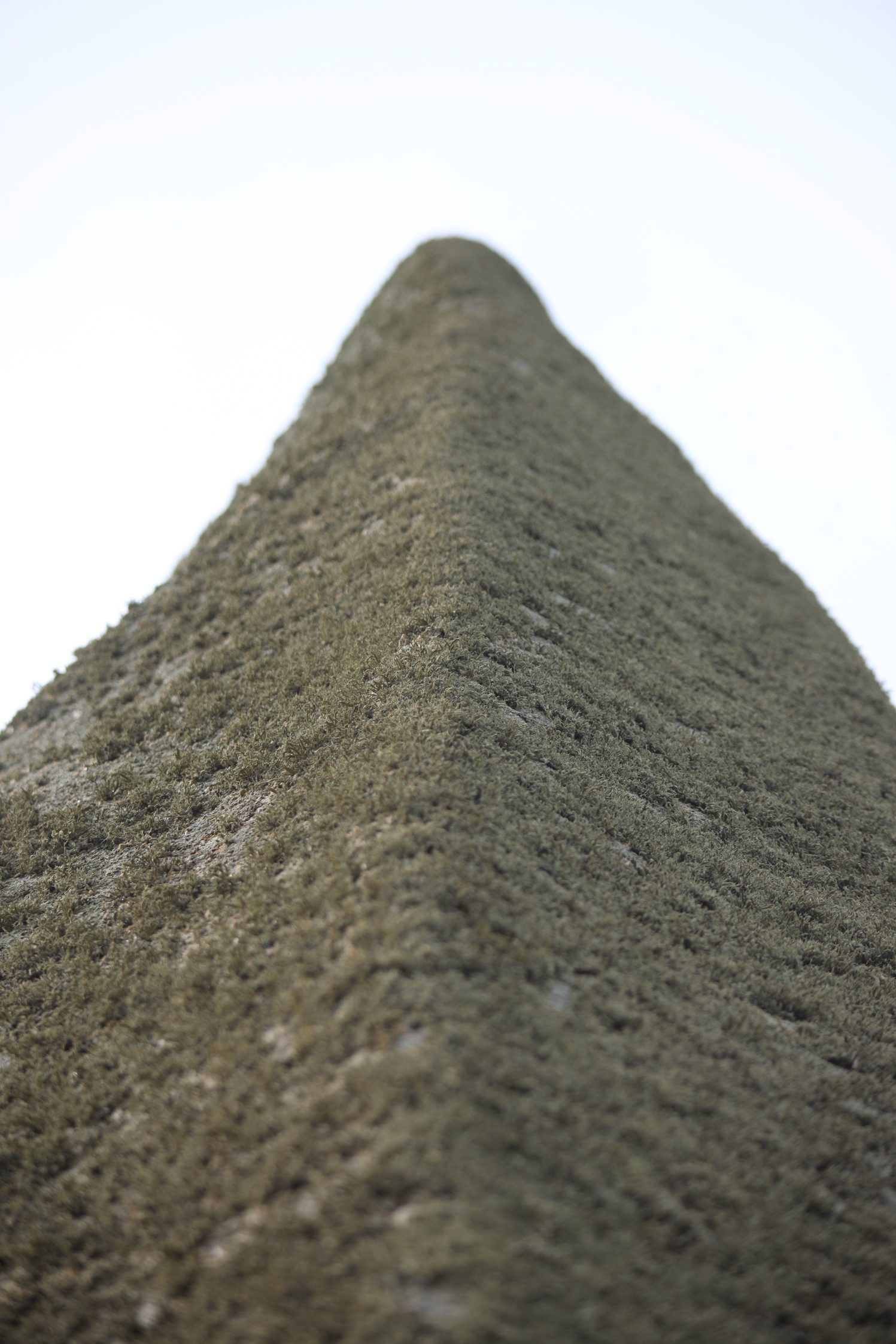 Détail du menhir de Kerloas