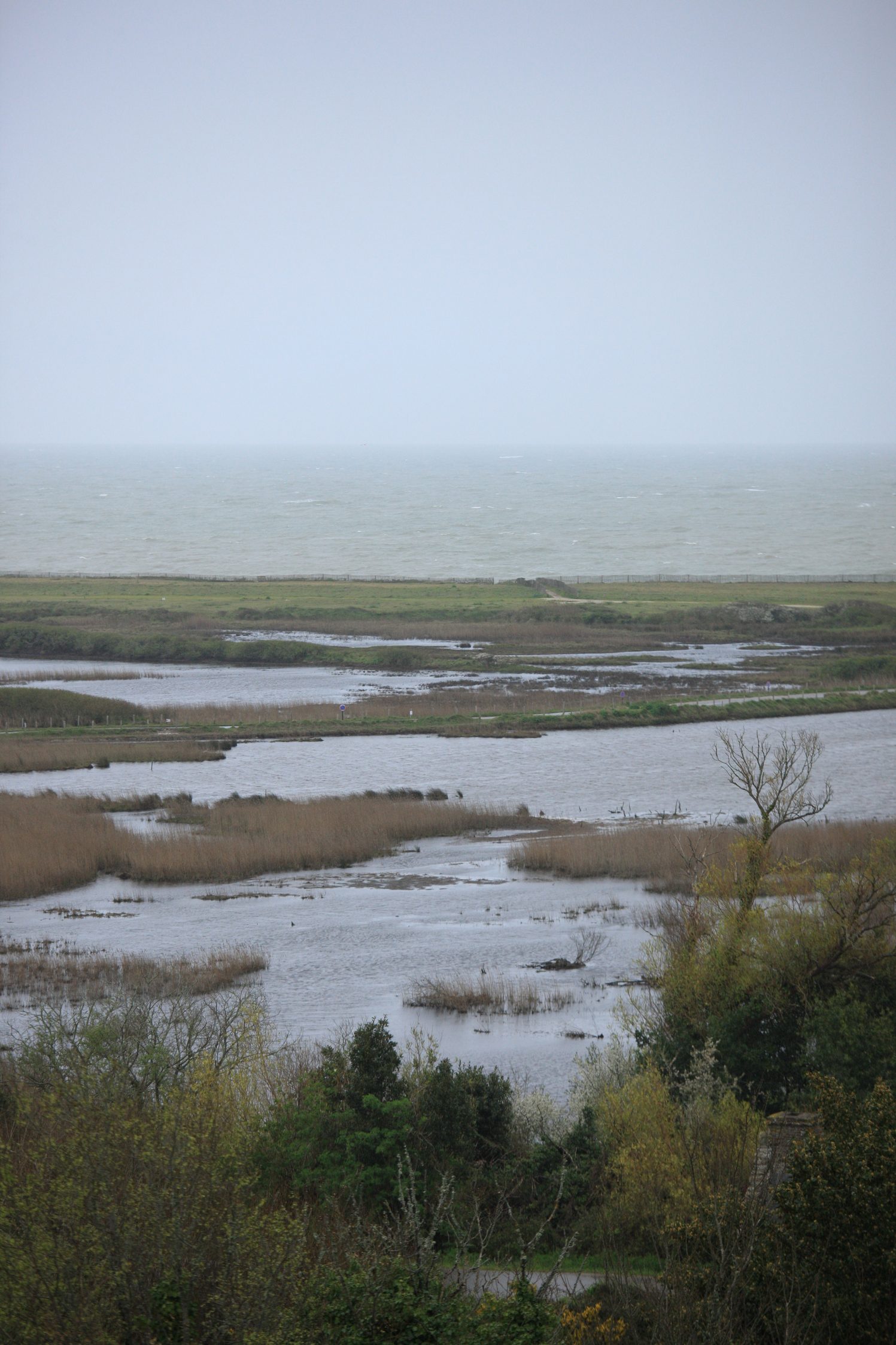 Vue vers la mer depuis le logis Ouest