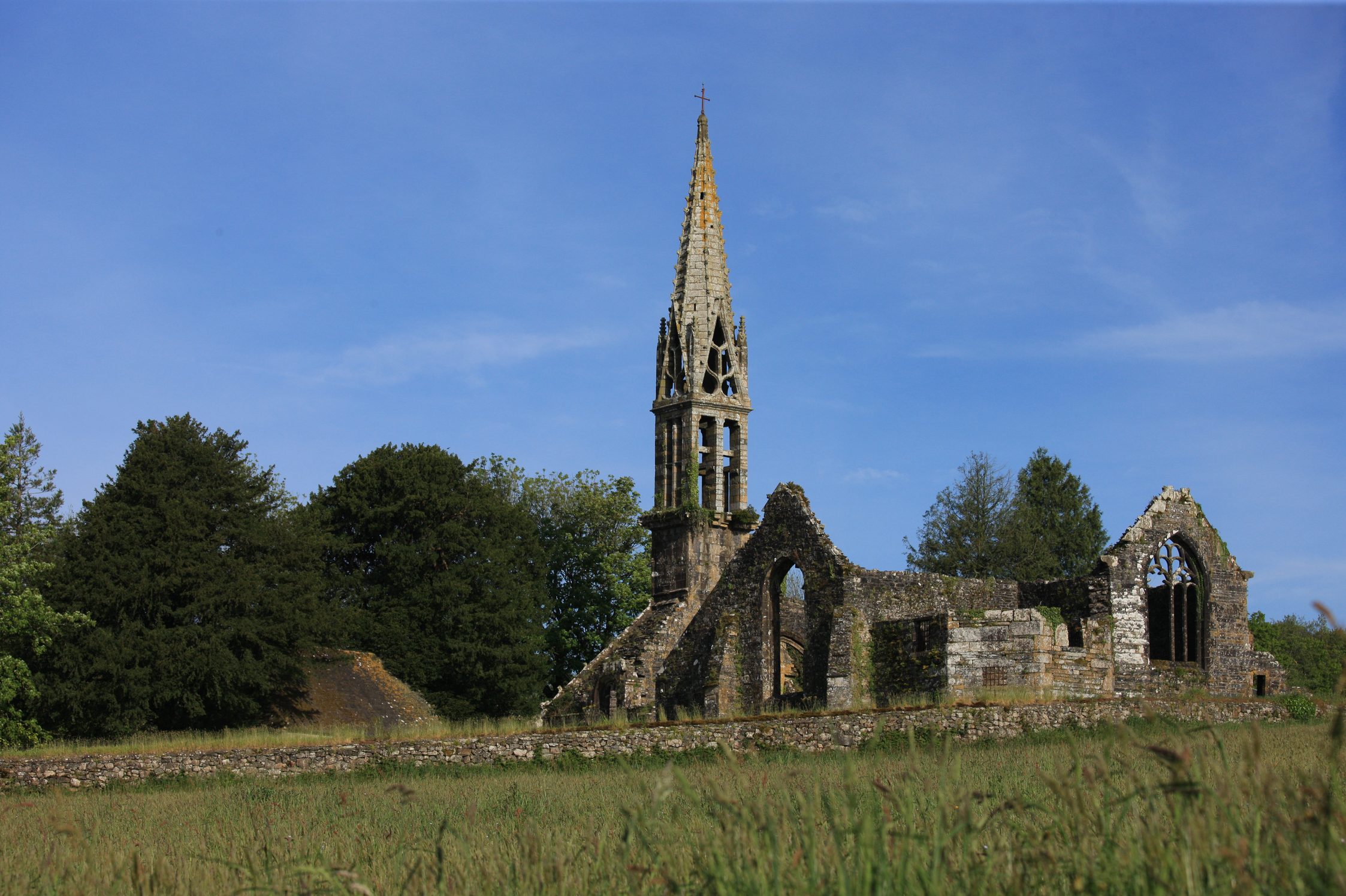 /img/2024/05/09-3.jpg