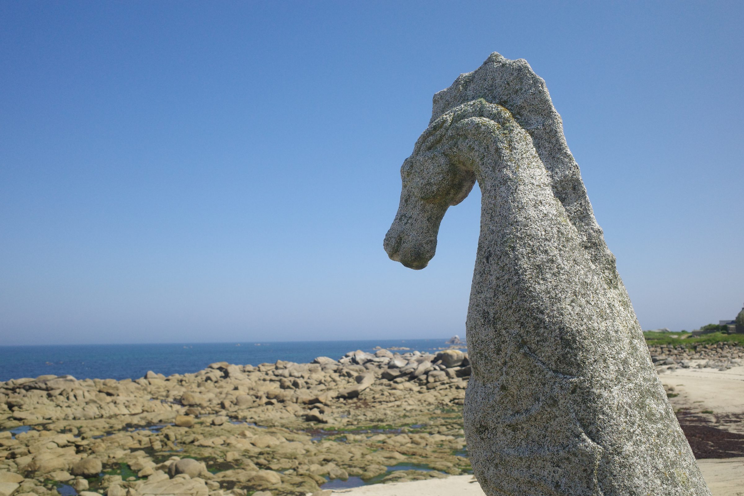 L'hippocampe de Pors Ar Treat