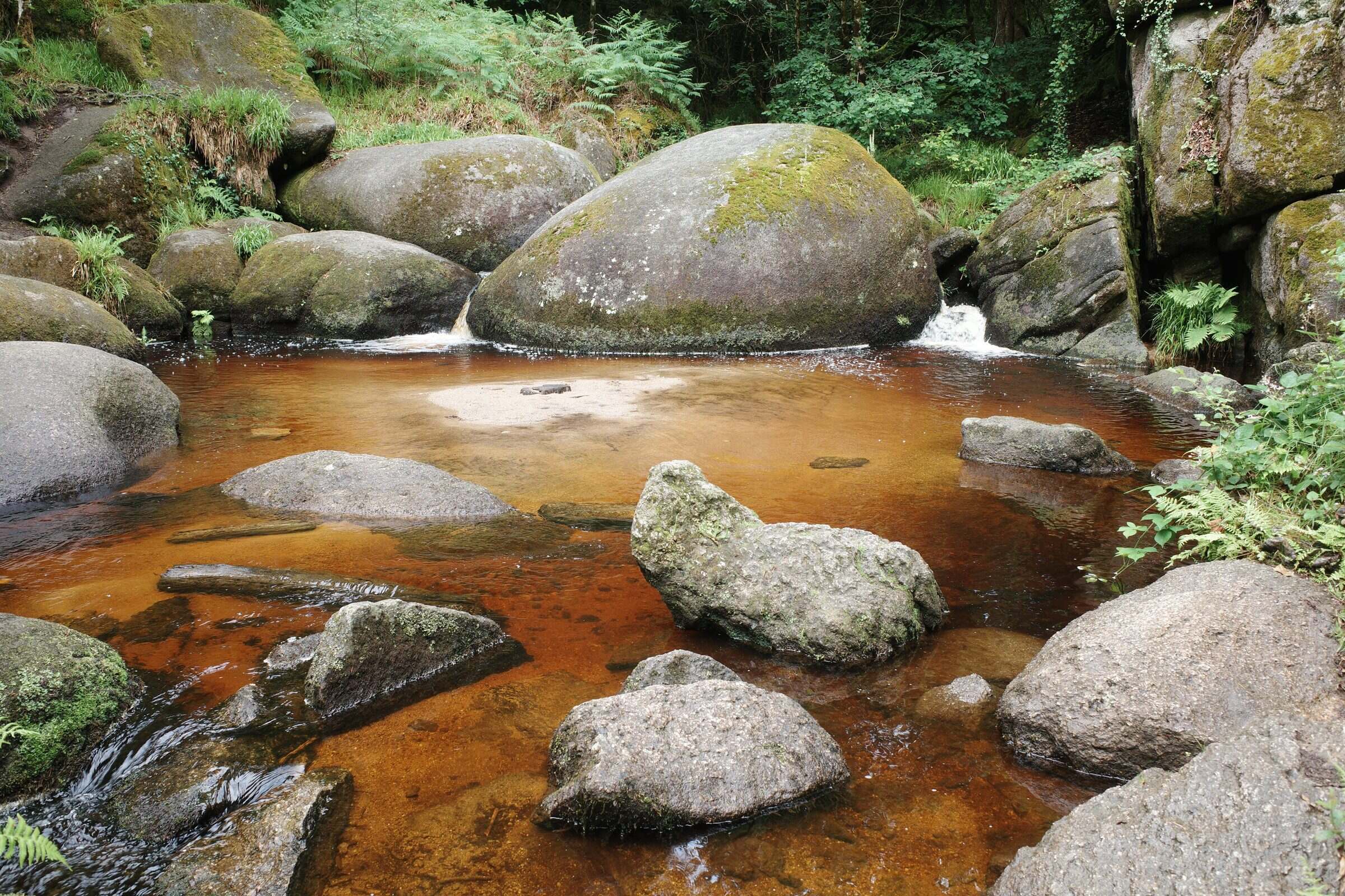 Mare aux sangliers